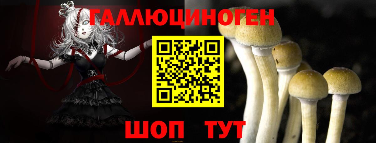 Галлюциногенные грибы GOLDEN TEACHER Омск